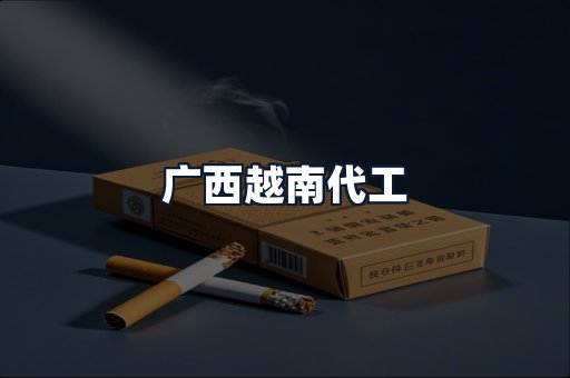 广西越南代工